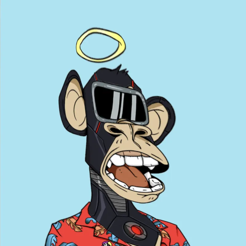 Sitko App Jitko #50000